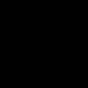 Meet your Posher, Graci